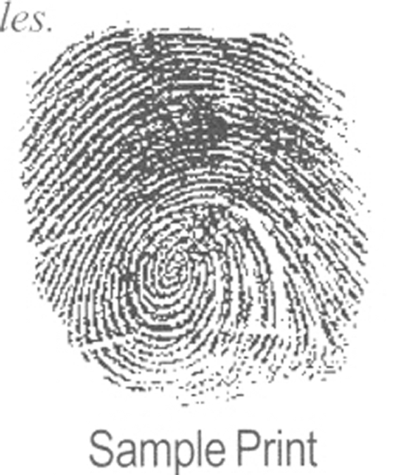 fingerprint copy.bmp